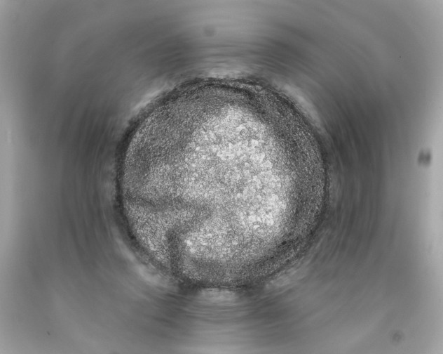 X0000091090354200709041307