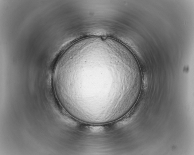 X0000091090355200709041307