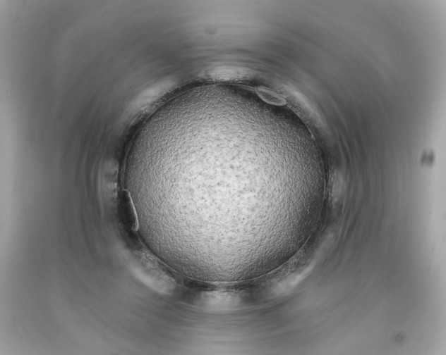X0000091090356200709041307