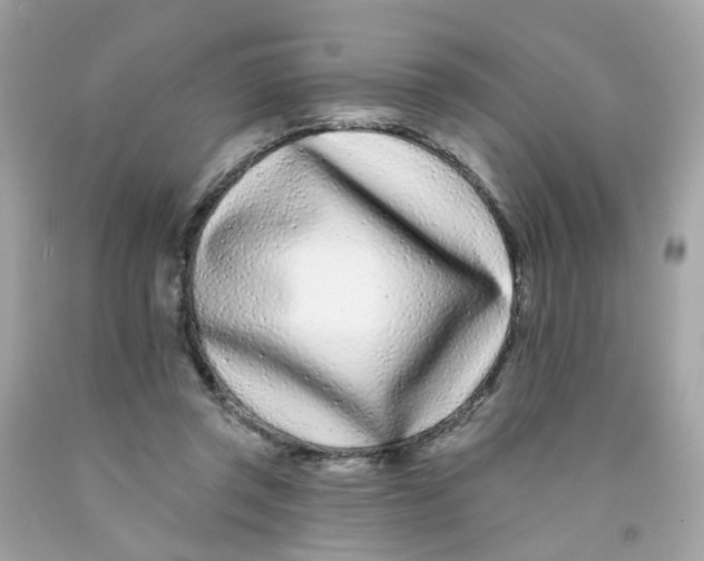 X0000091090357200709041307