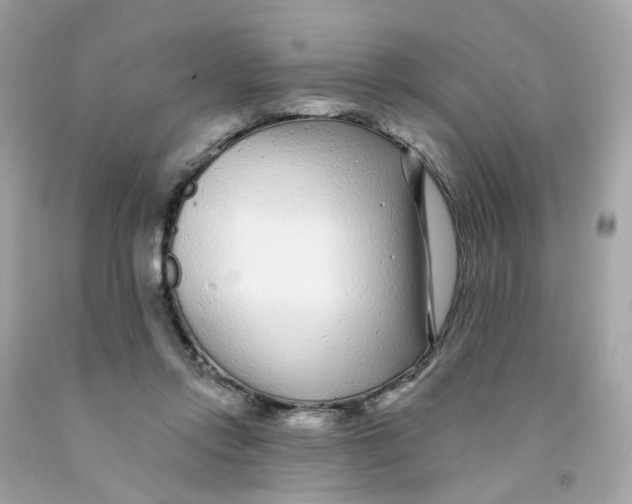 X0000091090358200709041307