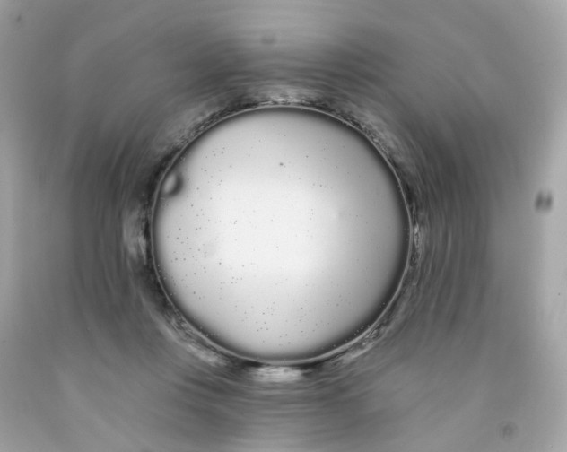 X0000091090359200709041307