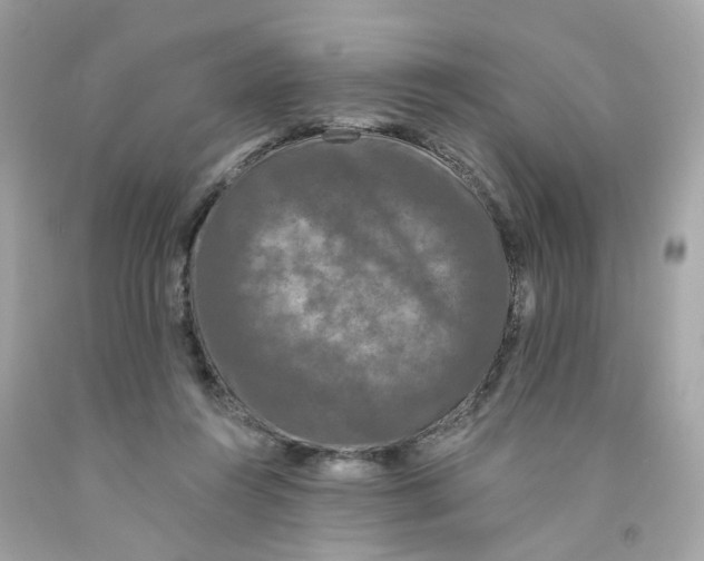 X0000091090360200709041307