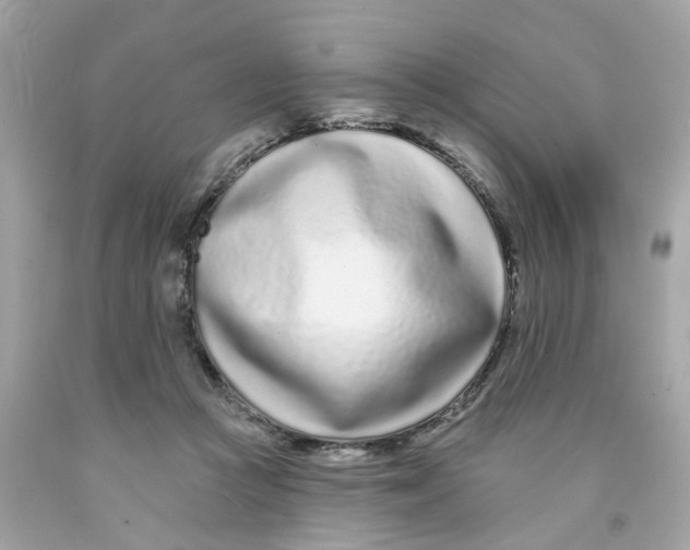 X0000091090361200709041307