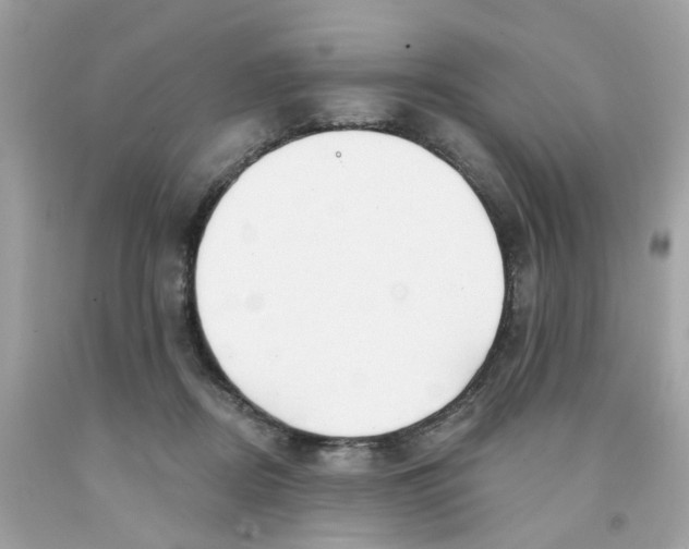 X0000091090362200709041307
