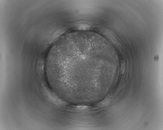 X0000091090363200709041307
