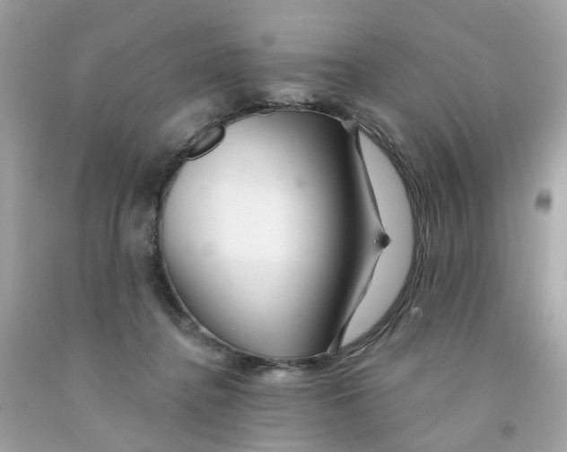 X0000091090364200709041307