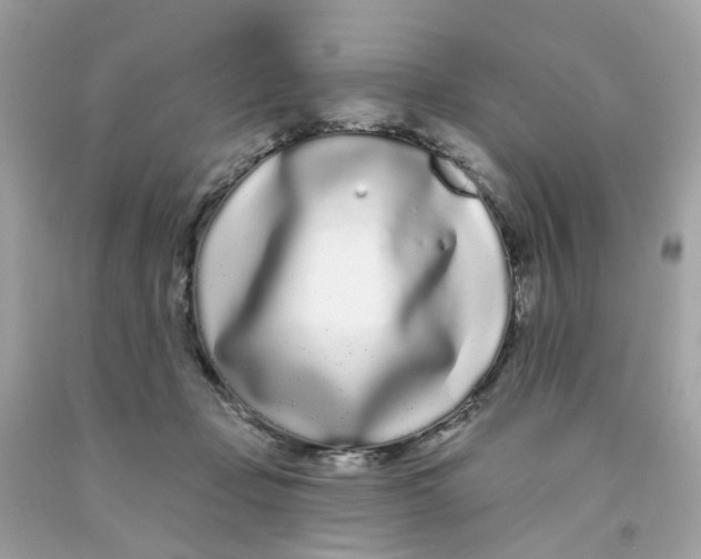 X0000091090365200709041307