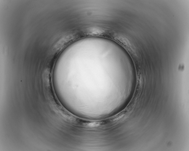 X0000091090366200709041307