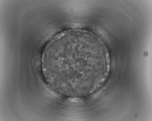 X0000091090367200709041307