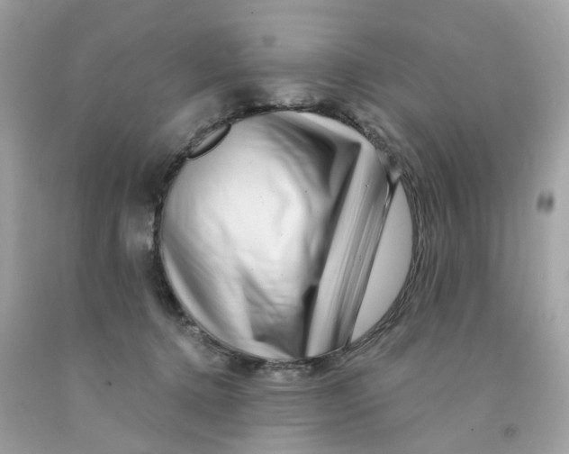 X0000091090368200709041307