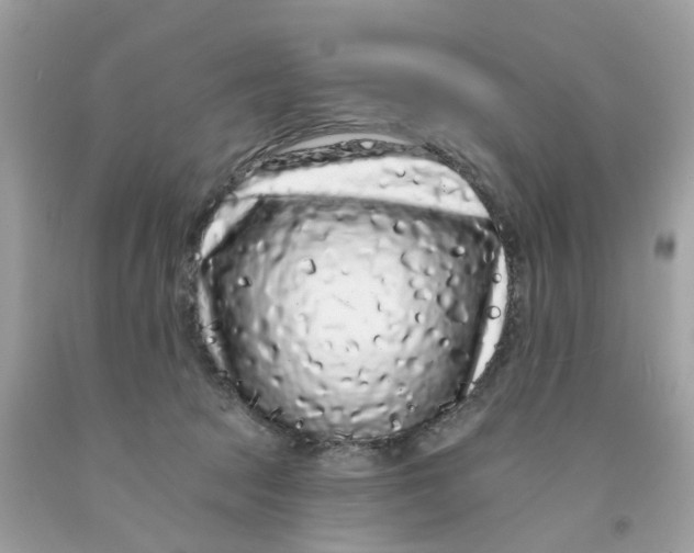 X0000091090369200709041307