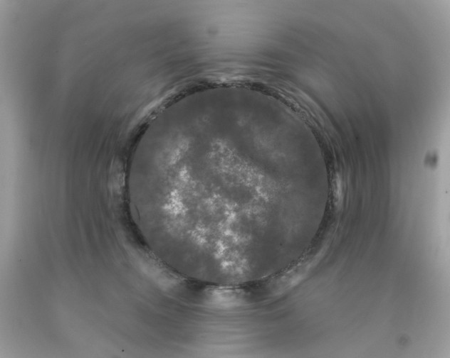 X0000091090372200709041307