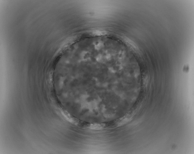 X0000091090373200709041307