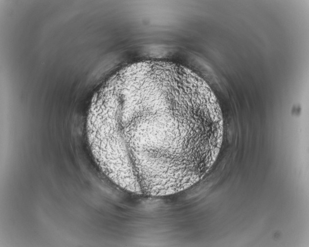 X0000091090374200709041307