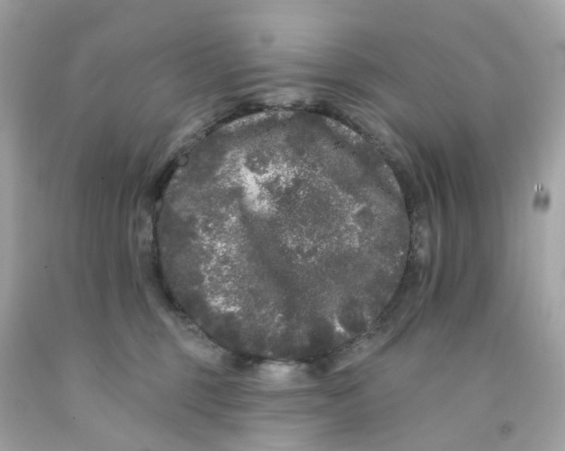 X0000091090375200709041307