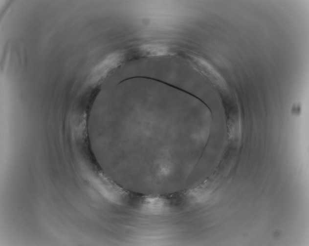X0000091090376200709041307