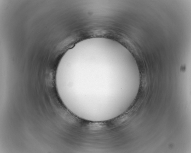 X0000091090378200709041307