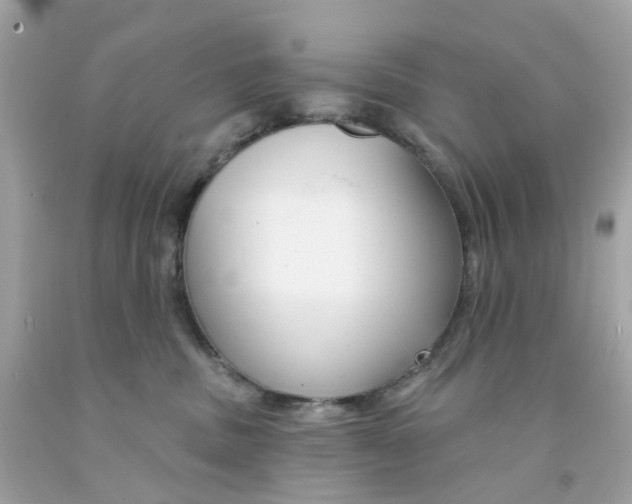 X0000091090379200709041307