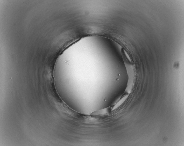 X0000091090380200709041307