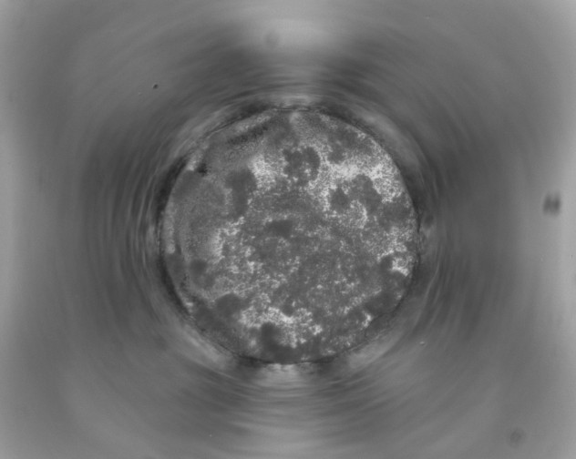X0000091090381200709041308
