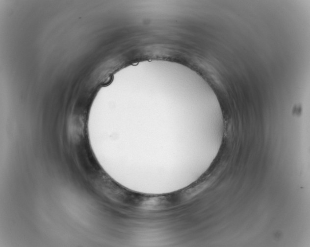 X0000091090382200709041308