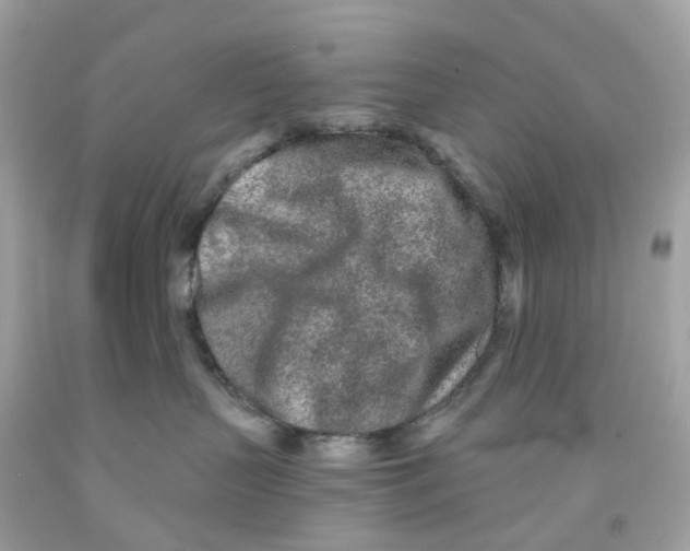 X0000091090383200709041308