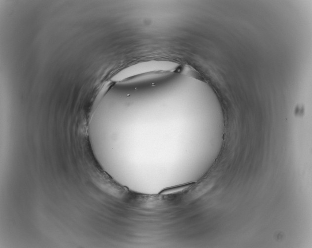 X0000091090384200709041308