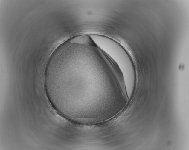 X0000091090385200709041307