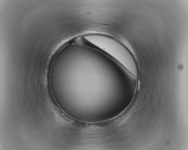 X0000091090387200709041307