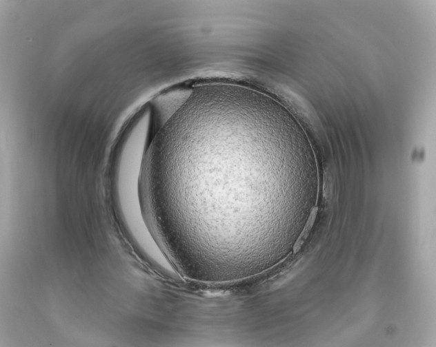 X0000091090388200709041307