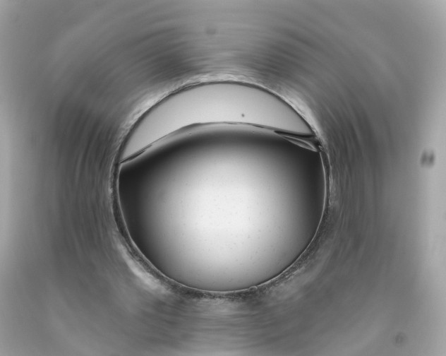 X0000091090389200709041307