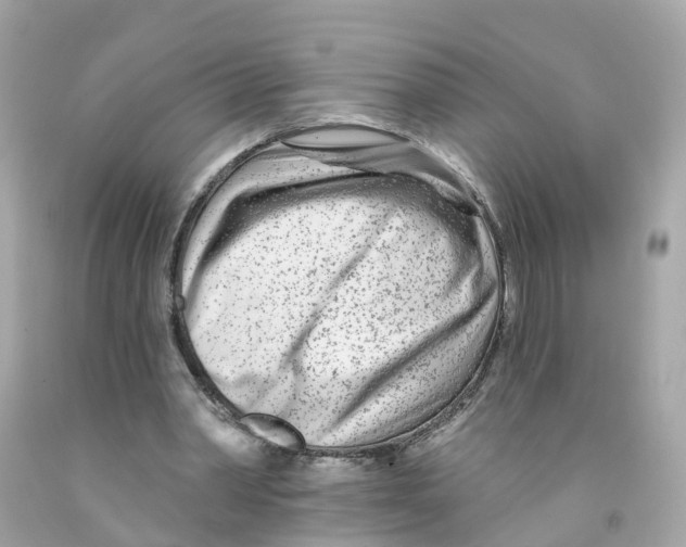 X0000091090390200709041307