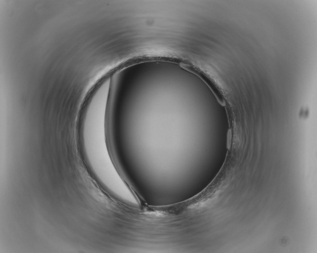 X0000091090391200709041307