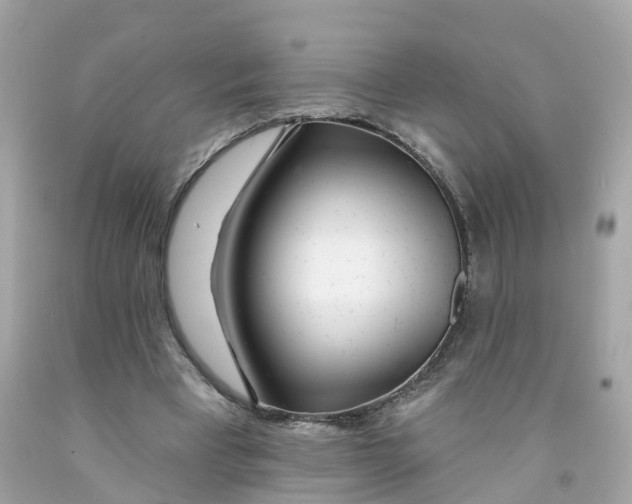 X0000091090393200709041306