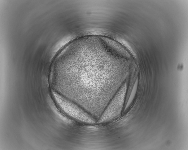 X0000091090394200709041306