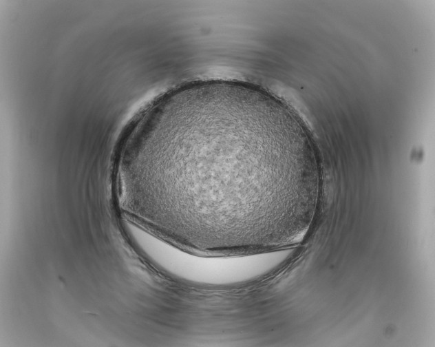X0000091090395200709041306
