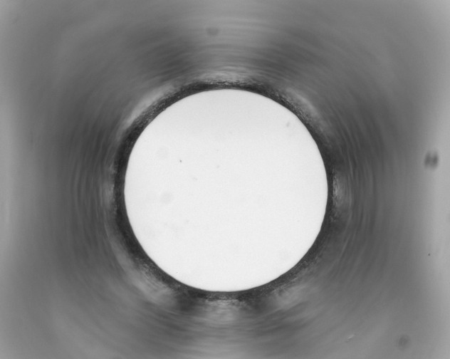 X0000091090396200709041306