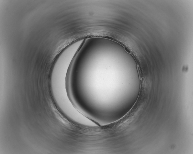 X0000091090397200709041306