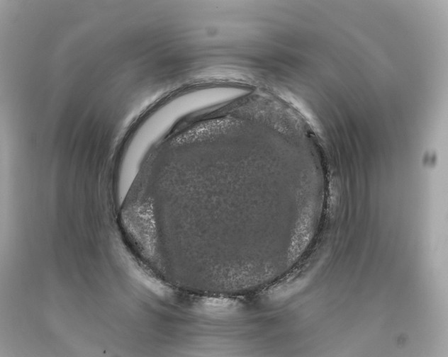 X0000091090399200709041306