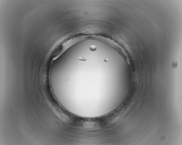 X0000091090400200709041306