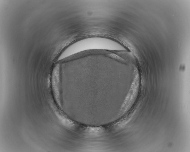 X0000091090401200709041306