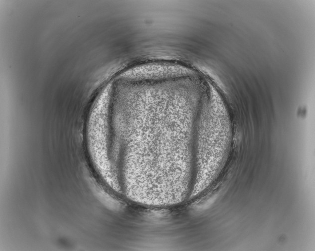 X0000091090402200709041306