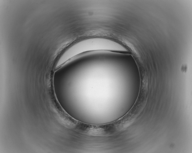 X0000091090403200709041306