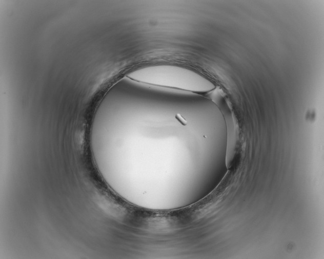 X0000091090404200709041306