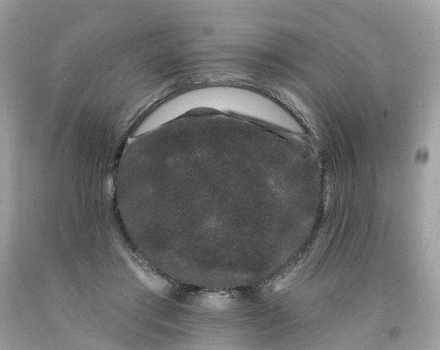 X0000091090405200709041306