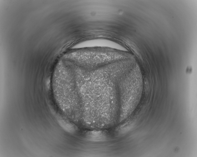 X0000091090406200709041306