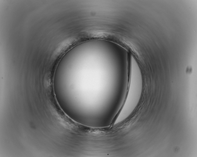 X0000091090407200709041306