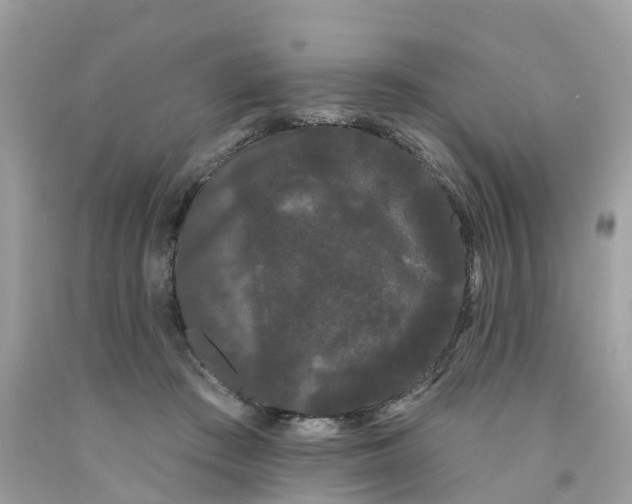 X0000091090409200709041306