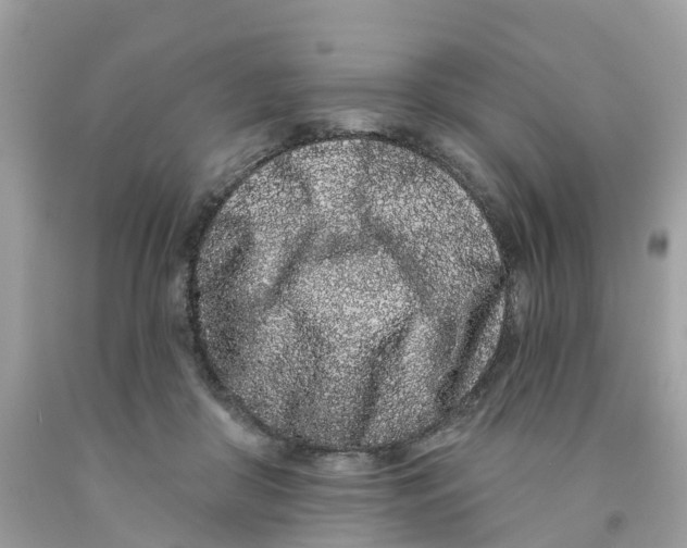 X0000091090410200709041306